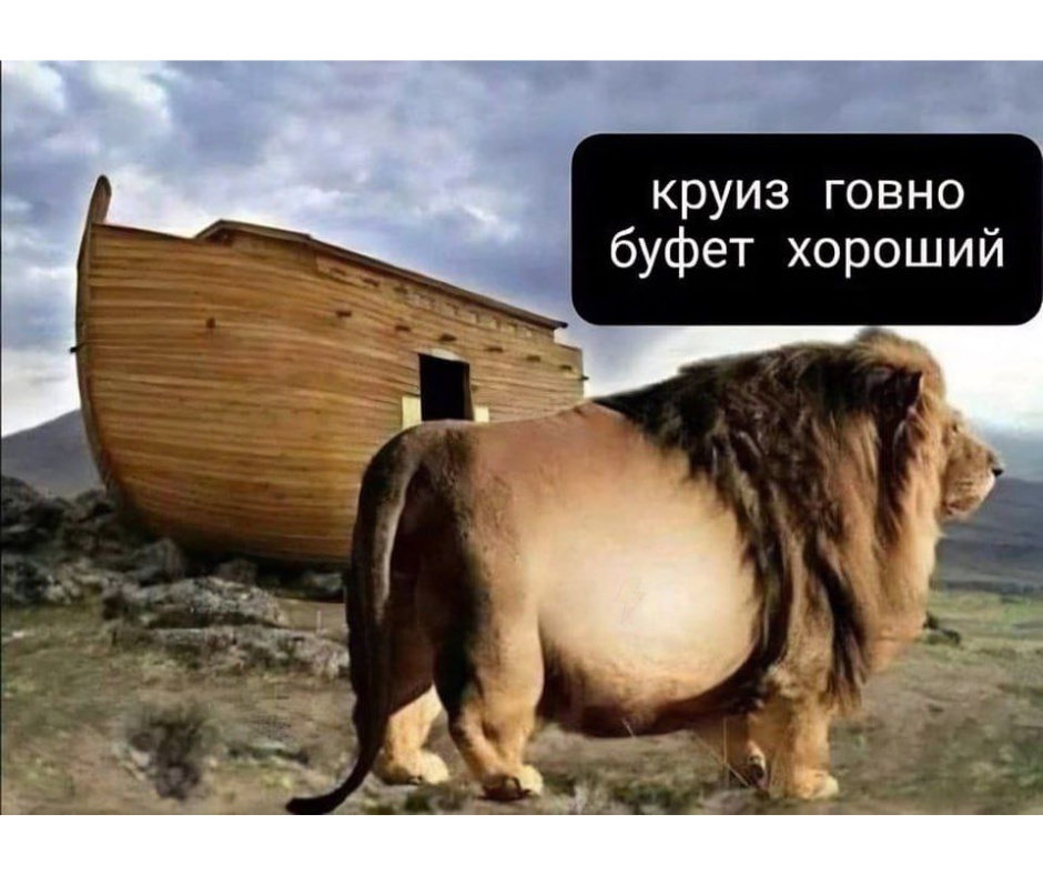 Елка
